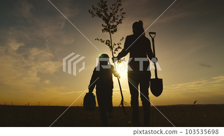 fresh tree seedling sunset, young roots, soil ground, plant garden, silhouette happiness family mother child, gardening farm, happy family cheerful child, seedling ground, father mother child touch 103535698