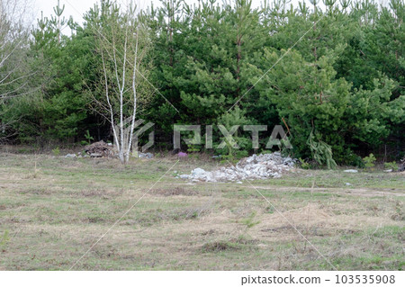 a large pile of garbage on the background of the forest. Environmental problems with plastic and garbage in the forest 103535908