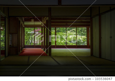 從南禪寺天壽庵（京都市左京區南禪寺福地町）的廚房看到的綠葉 103536047