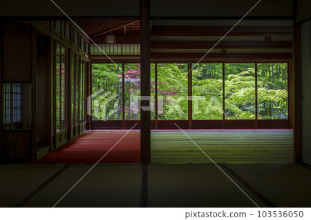 Green leaves seen from the kitchen of Nanzenji Tenjuan (Nanzenji Fukuchicho, Sakyo Ward, Kyoto City) Green leaves seen from the kitchen of Nanzenji Tenjuan (Nanzenji Fukuchicho, Sakyo Ward, Kyoto City) 103536050