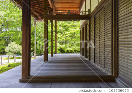 Nanzenji Tenjuan Hojo front garden Fresh green season (Nanzenji Fukuchi-cho, Sakyo-ku, Kyoto) 103536053