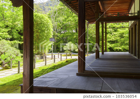 Nanzenji Tenjuan Hojo front garden Fresh green season (Nanzenji Fukuchi-cho, Sakyo-ku, Kyoto) Nanzenji Tenjuan Hojo front garden Fresh green season (Nanzenji Fukuchi-cho, Sakyo-ku, Kyoto) 103536054
