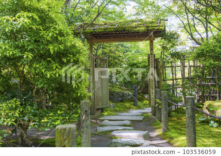 Nanzenji Tenjuan The thatched gate surrounded by green maple leaves The season of fresh greenery (Nanzenji Fukuchi-cho, Sakyo-ku, Kyoto) Nanzenji Tenjuan The thatched gate surrounded by green maple leaves The season of fresh greenery (Nanzenji Fukuchi-cho, Sakyo-ku, Kyoto) 103536059