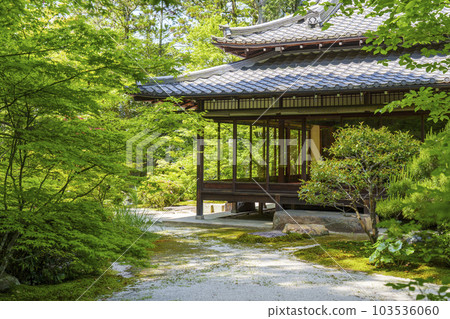 Nanzenji Tenjuan Shoin Nantei Kuri The season of fresh greenery (Nanzenji Fukuchi-cho, Sakyo-ku, Kyoto) Nanzenji Tenjuan Shoin Nantei Kuri The season of fresh greenery (Nanzenji Fukuchi-cho, Sakyo-ku, Kyoto) 103536060