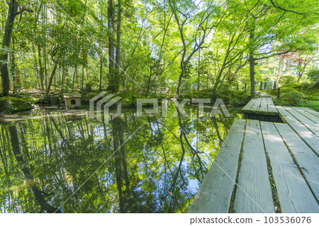 Nanzenji Temple Tenjuan Shoin South Garden 橋樑和綠色楓葉的倒影（京都市左京區南禪寺福地町） 103536076