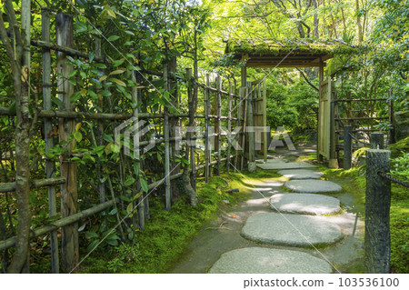 Nanzenji Tenjuan 被綠色楓葉包圍的茅草門 新綠的季節（京都市左京區南禪寺福地町） 103536100