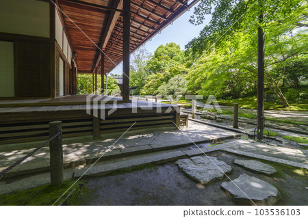 Nanzenji Tenjuan Hojo front garden 新綠季節（京都市左京區南禪寺福地町） 103536103