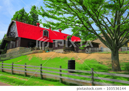 [Hyogo Prefecture] Kobe Municipal Mt. Rokko Ranch in Fresh Greenery 103536144