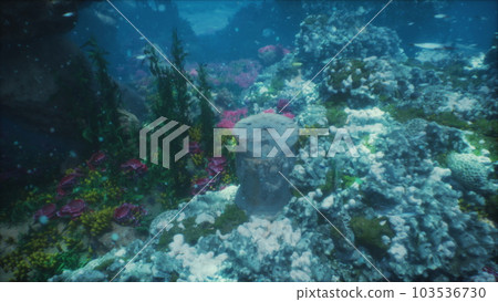 ruins of ancient city or temple adorned with marine flora and fauna on bottom ruins of ancient city or temple adorned with marine flora and fauna on bottom 103536730