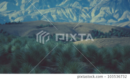Bush in semi desert large wasteland Bush in semi desert large wasteland 103536732