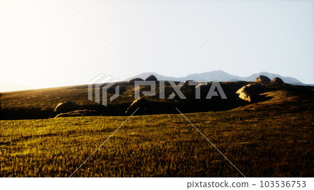Spring meadow with flowers on sunset Spring meadow with flowers on sunset 103536753