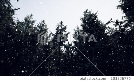 Winter forest in the snow Winter forest in the snow 103536775
