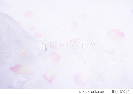 Pink rose petals spreading on the veil 3 Pink rose petals spreading on the veil 3 103537095