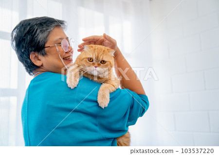 Asian senior woman hold on shoulder and pat orange cat also stand in front of glass window curtain 103537220