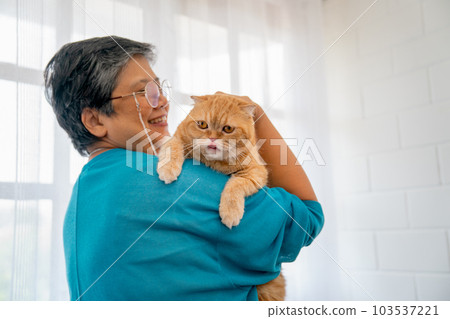 Asian senior woman hold on shoulder and pat orange cat also stand in front of glass window Asian senior woman hold on shoulder and pat orange cat also stand in front of glass window 103537221