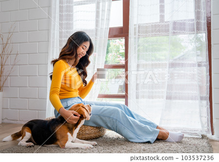 Young Asian girl sit on seat cushion also hold cup of tea and enjoy to play with beagle dog in front 103537236