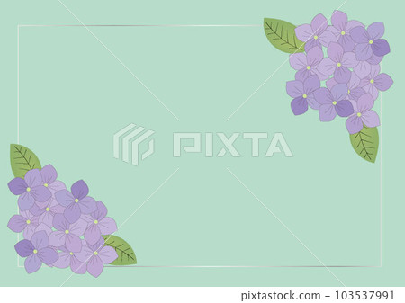 Frame background with hydrangea and silver border Frame background with hydrangea and silver border 103537991