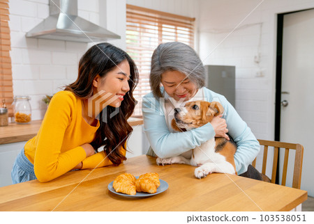 Senior woman as mother hold and hug beagle dog and stand in kitchen area together with happiness Senior woman as mother hold and hug beagle dog and stand in kitchen area together with happiness 103538051