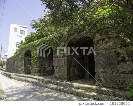 Banyan tree at Sogenji Temple in Naha City 103538693