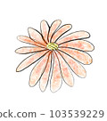 Red daisy 103539229