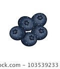 Fresh blueberry 103539233