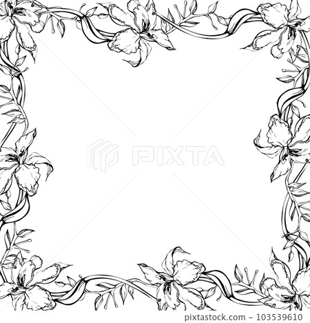 Hand drawn vector ink orchid flowers and branches, monochrome, detailed outline. Horizontal frame composition. Isolated on white background. Design for wall art, wedding, print, tattoo, cover, card. 103539610