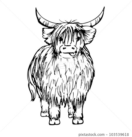 Ink hand drawn sketch of isolated object. Vector black silhouette of domestic animal scottish hairy coo cow livestock with horns. Design tourism, travel, brochure, fabric, guide, print, card, tattoo. 103539618