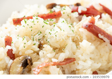 薩拉米香腸和蘑菇黃油飯特寫。 103539970