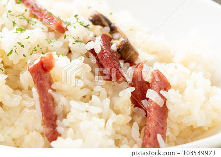 薩拉米香腸和蘑菇黃油飯特寫。 103539971