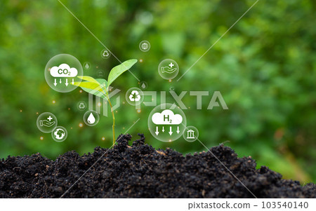 CO2 emission reduction concept, clean and friendly environment without carbon dioxide emissions. Planting trees to reduce CO2 emissions, environmental protection concept. 103540140