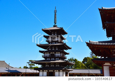奈良Yakushiji Higashi塔 103540617