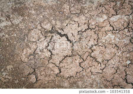 Dried desert land. Cracks in the ground. Dehydrated soil. 103541358