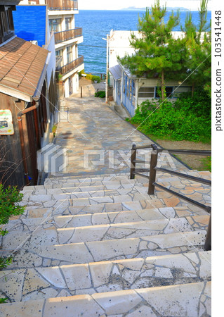 [Hyogo Prefecture] Sunny Ako Misaki (Kirakirazaka) 103541448