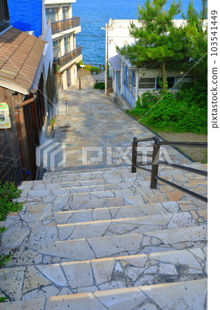 [Hyogo Prefecture] Sunny Ako Misaki (Kirakirazaka) 103541449