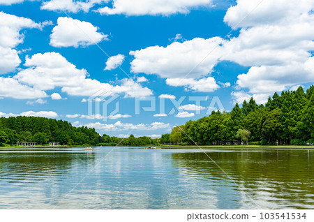 東京藍天水元公園的海濱區 東京藍天水元公園的海濱區 103541534
