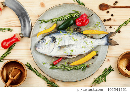 Raw sea bream or dorada fish 103541561