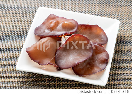 Live jellyfish (Aragami jellyfish). Live jellyfish (Aragami jellyfish). 103541816
