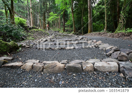 通往不動聲色的氏上的石階 通往不動聲色的氏上的石階 103541879