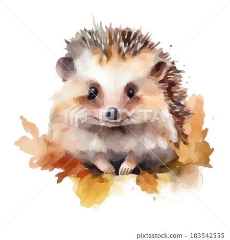 Baby hedgehog hand painted watercolor illustration isolated on white background. Baby hedgehog hand painted watercolor illustration isolated on white background. 103542555