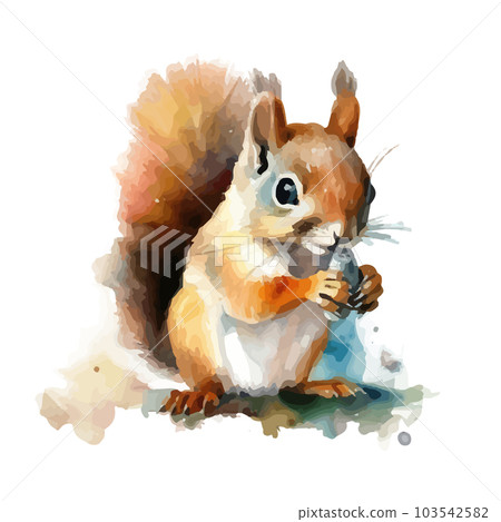 Squirrel watercolor hand paint vector illustration. 103542582