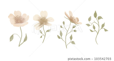 Blooming tree flowers. Spring floral botanical watercolor flower. 103542703