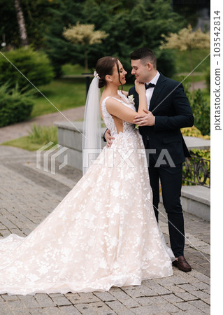 Side view of groom and bride hug each other and walk. Beautiful wedding couple  103542814