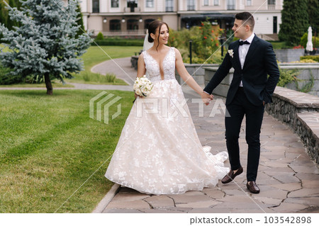 Happy newlyweds hold hands and walk around the reserve. Gorgeous wedding couple of groom and bride smile  103542898