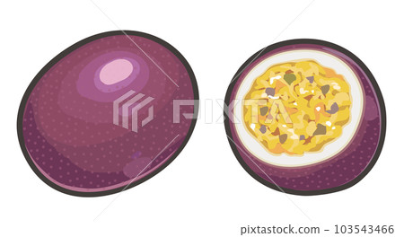 百香果的插圖 103543466