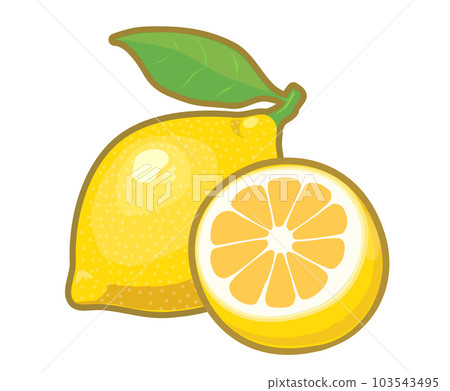 Lemon illustration Lemon illustration 103543495