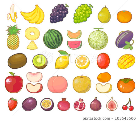 Fruit summary illustration 103543500