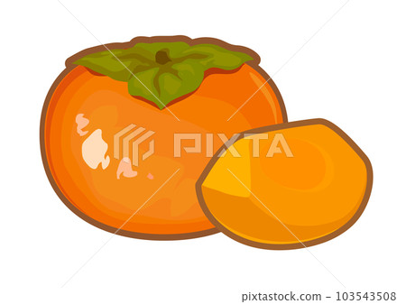 Persimmon illustration Persimmon illustration 103543508
