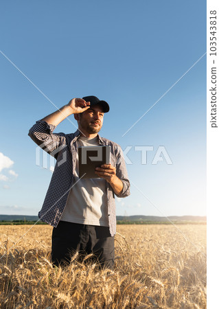 Farmer examines the field of cereals and sends data to the cloud from the tablet. Farmer examines the field of cereals and sends data to the cloud from the tablet. 103543818