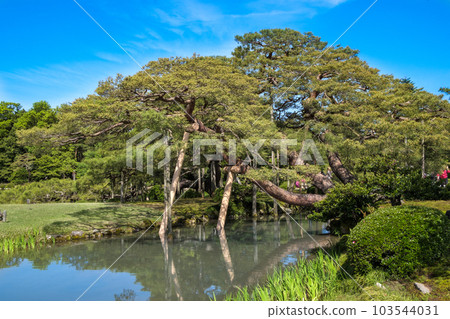 兼六園:石川縣以風景秀麗著稱的日式庭園 兼六園:石川縣以風景秀麗著稱的日式庭園 103544031