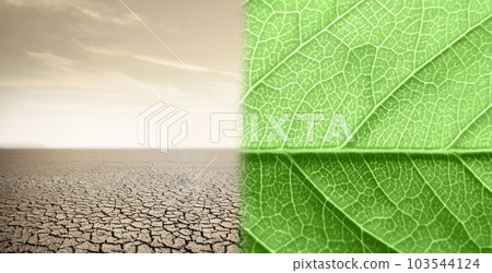 Landscape with half green leaf and half desert. Global warming concept Landscape with half green leaf and half desert. Global warming concept 103544124